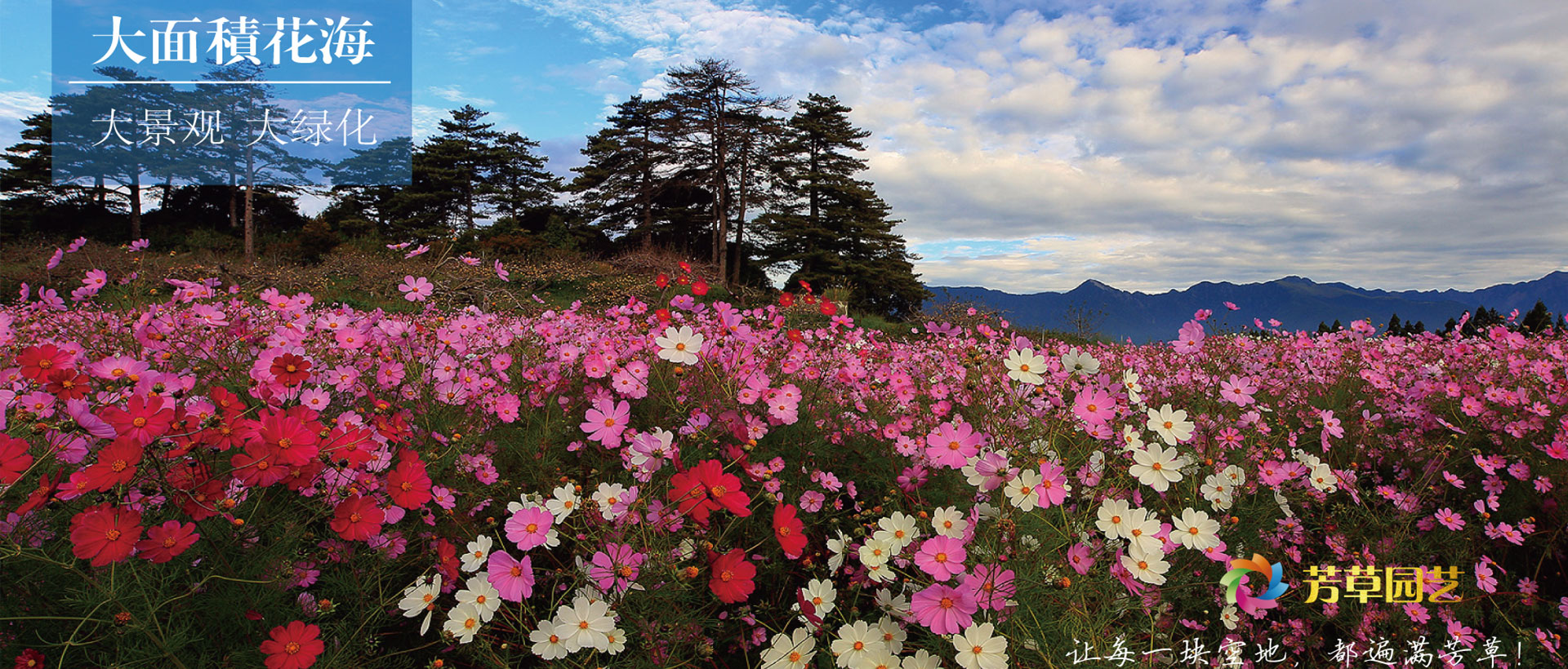 北京芳草园艺