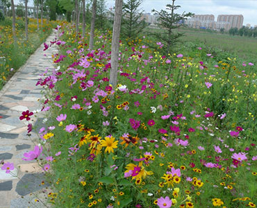 北京芳草园艺